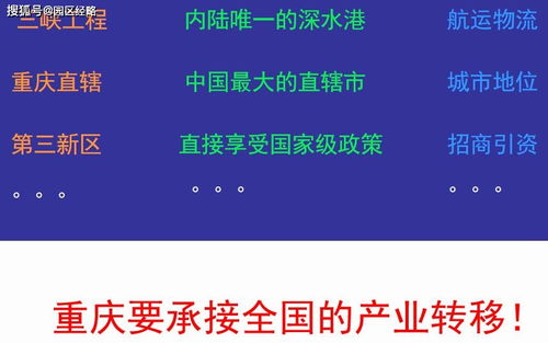 中國(guó)重慶西部國(guó)際總部基地市場(chǎng)營(yíng)銷(xiāo)策劃報(bào)告